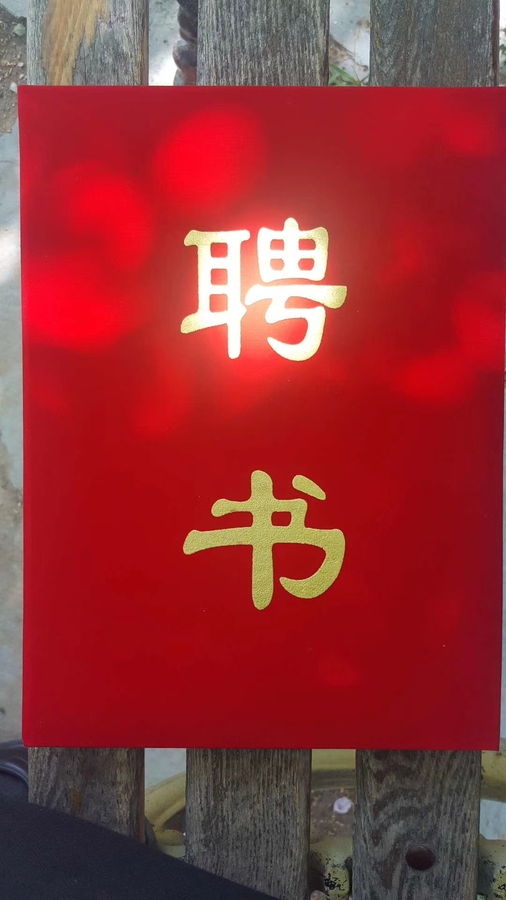 mmexport1554699101609.jpg